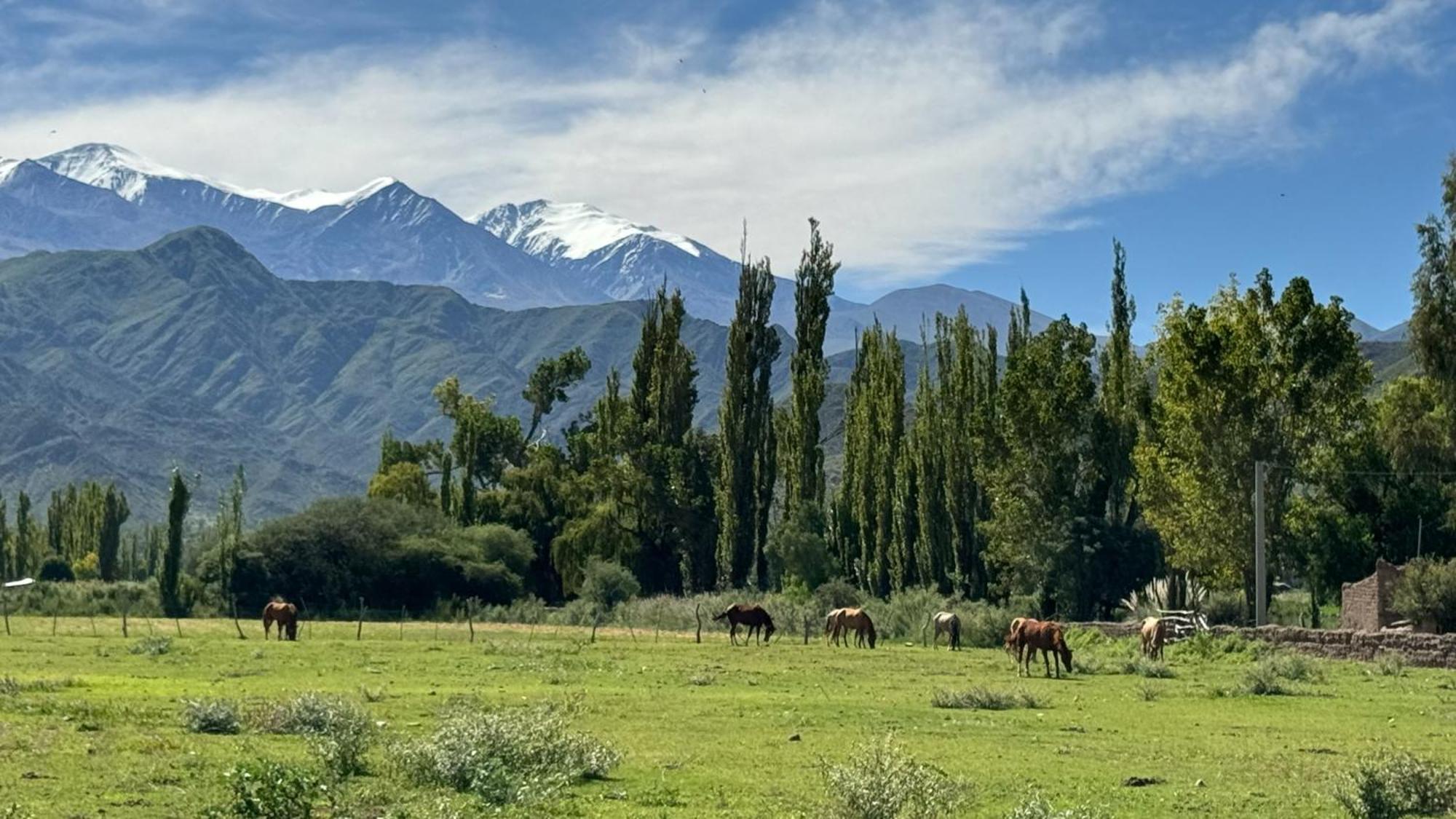Terra - Casa De Campo Cachí Dış mekan fotoğraf